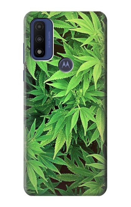 S1656 Marijuana Plant Hülle Schutzhülle Taschen für Motorola G Pure