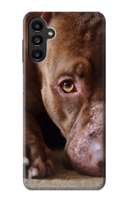 S0519 PitBull Face Hülle Schutzhülle Taschen für Samsung Galaxy A13 5G