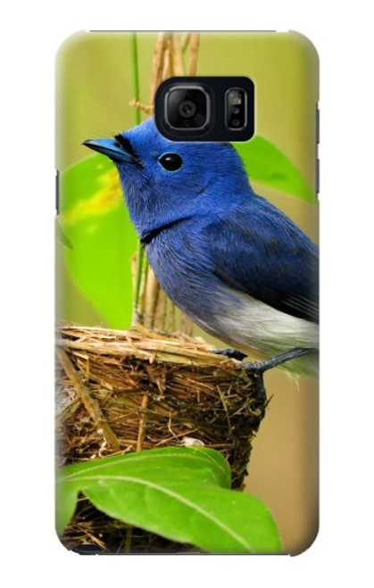 S3839 Bluebird of Happiness Blue Bird Hülle Schutzhülle Taschen für Samsung Galaxy S6 Edge Plus