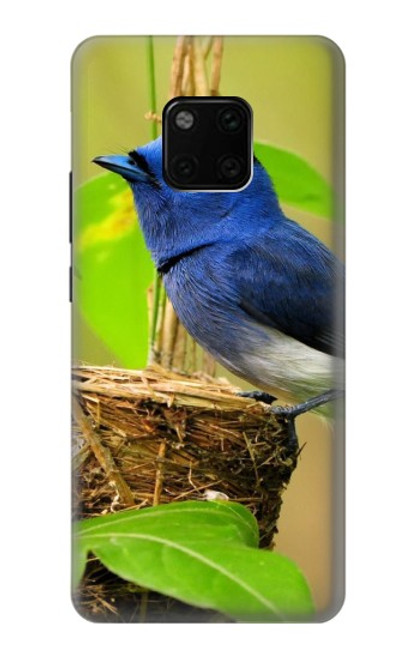 S3839 Bluebird of Happiness Blue Bird Hülle Schutzhülle Taschen für Huawei Mate 20 Pro