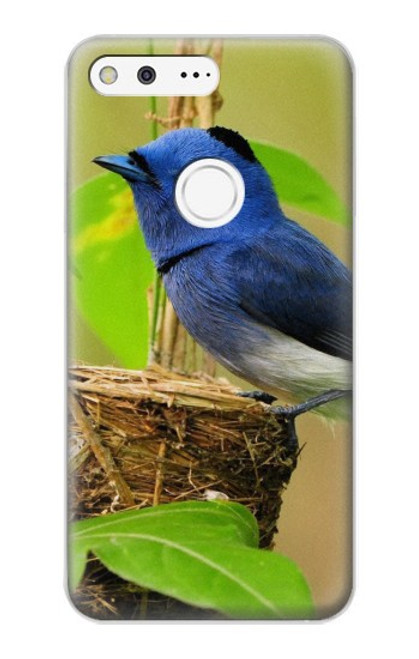 S3839 Bluebird of Happiness Blue Bird Hülle Schutzhülle Taschen für Google Pixel XL