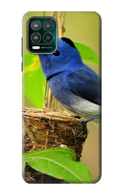 S3839 Bluebird of Happiness Blue Bird Hülle Schutzhülle Taschen für Motorola Moto G Stylus 5G