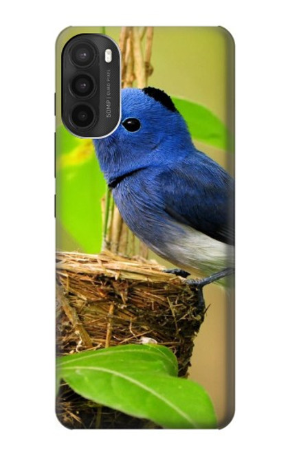 S3839 Bluebird of Happiness Blue Bird Hülle Schutzhülle Taschen für Motorola Moto G71 5G