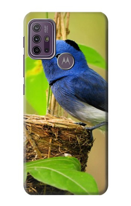 S3839 Bluebird of Happiness Blue Bird Hülle Schutzhülle Taschen für Motorola Moto G10 Power