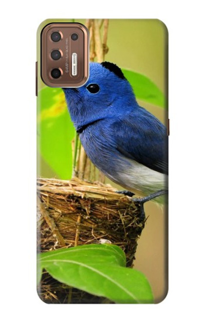 S3839 Bluebird of Happiness Blue Bird Hülle Schutzhülle Taschen für Motorola Moto G9 Plus