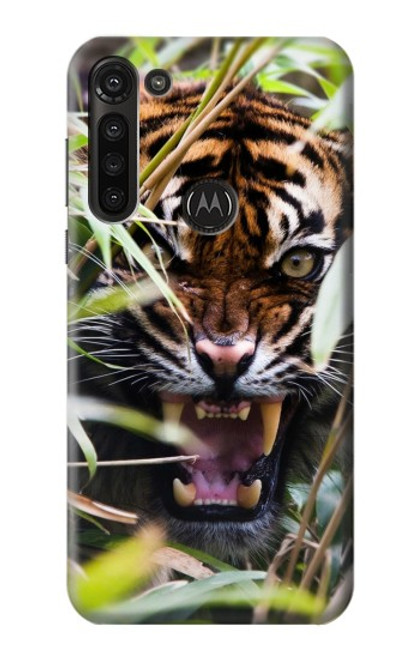 S3838 Barking Bengal Tiger Hülle Schutzhülle Taschen für Motorola Moto G8 Power