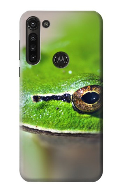 S3845 Green frog Hülle Schutzhülle Taschen für Motorola Moto G8 Power