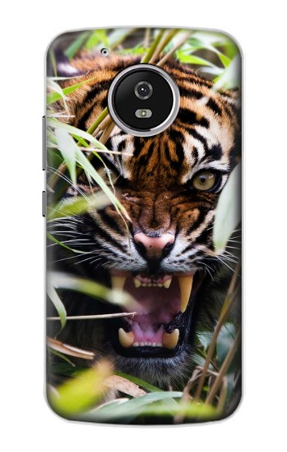 S3838 Barking Bengal Tiger Hülle Schutzhülle Taschen für Motorola Moto G5