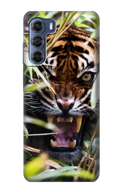 S3838 Barking Bengal Tiger Hülle Schutzhülle Taschen für Motorola Edge S30