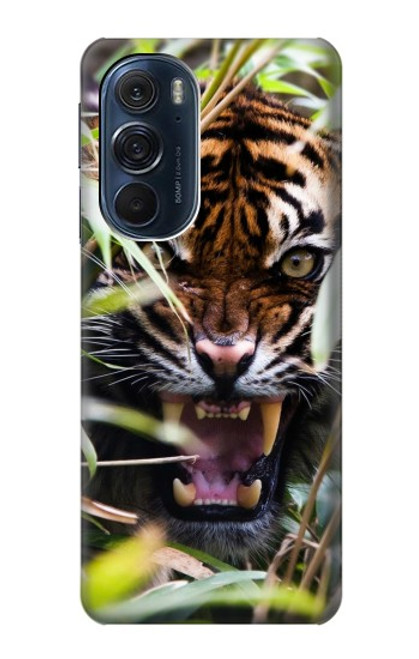 S3838 Barking Bengal Tiger Hülle Schutzhülle Taschen für Motorola Edge X30