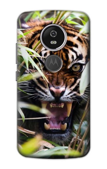 S3838 Barking Bengal Tiger Hülle Schutzhülle Taschen für Motorola Moto E5 Plus