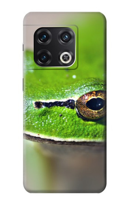 S3845 Green frog Hülle Schutzhülle Taschen für OnePlus 10 Pro