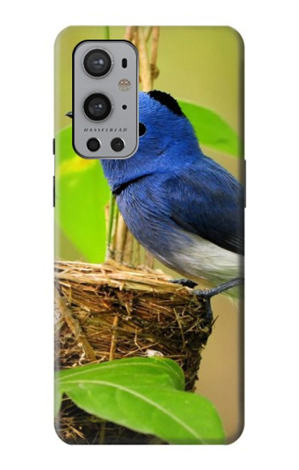 S3839 Bluebird of Happiness Blue Bird Hülle Schutzhülle Taschen für OnePlus 9 Pro