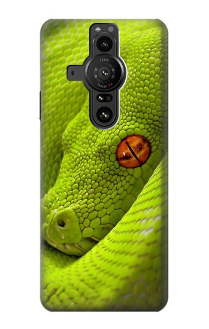 S0785 Green Snake Hülle Schutzhülle Taschen für Sony Xperia Pro-I