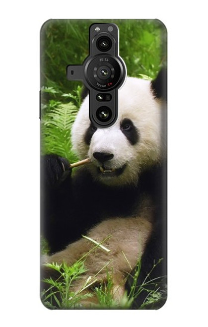 S1073 Panda Enjoy Eating Hülle Schutzhülle Taschen für Sony Xperia Pro-I