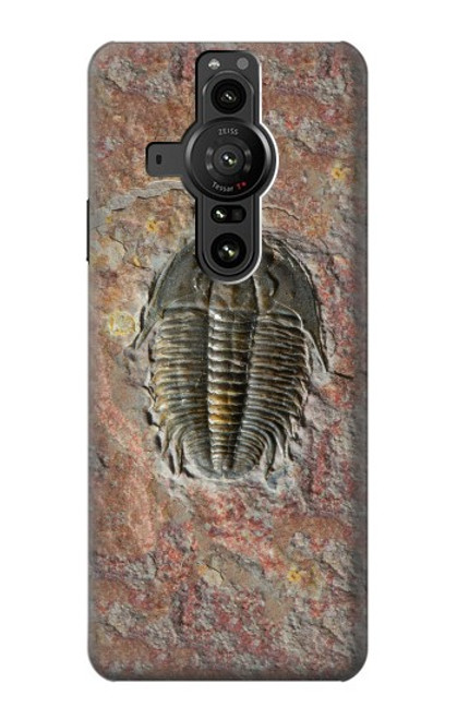 S1454 Trilobite Fossil Hülle Schutzhülle Taschen für Sony Xperia Pro-I