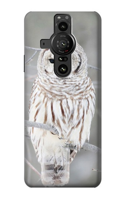 S1566 Snowy Owl White Owl Hülle Schutzhülle Taschen für Sony Xperia Pro-I