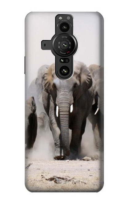 S3142 African Elephant Hülle Schutzhülle Taschen für Sony Xperia Pro-I