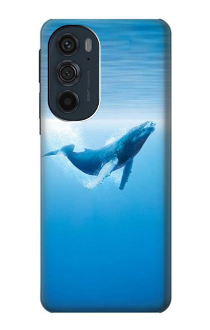 S0843 Blue Whale Hülle Schutzhülle Taschen für Motorola Edge 30 Pro