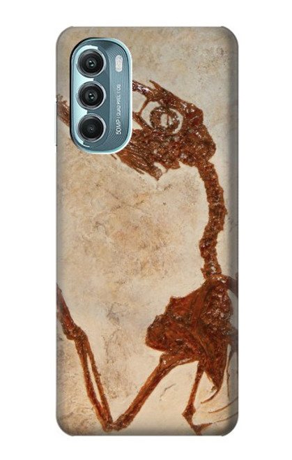 S0379 Dinosaur Fossil Hülle Schutzhülle Taschen für Motorola Moto G Stylus 5G (2022)