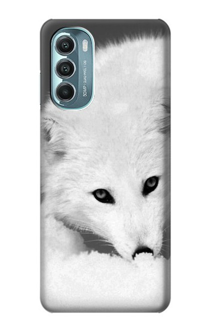 S2569 White Arctic Fox Hülle Schutzhülle Taschen für Motorola Moto G Stylus 5G (2022)