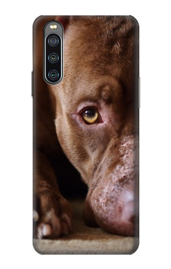 S0519 PitBull Face Hülle Schutzhülle Taschen für Sony Xperia 10 IV