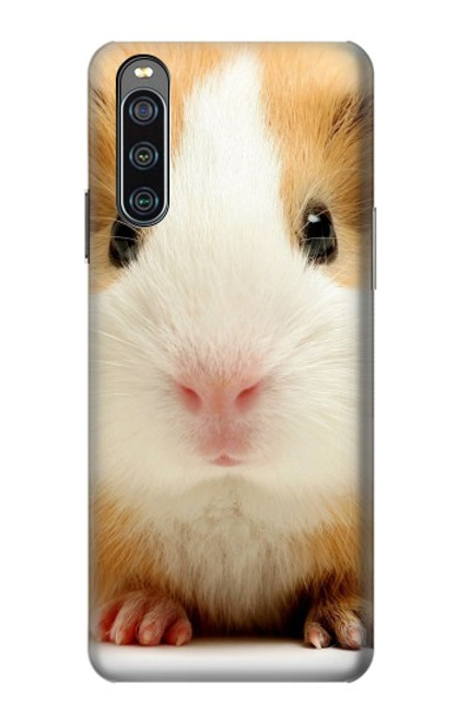 S1619 Cute Guinea Pig Hülle Schutzhülle Taschen für Sony Xperia 10 IV