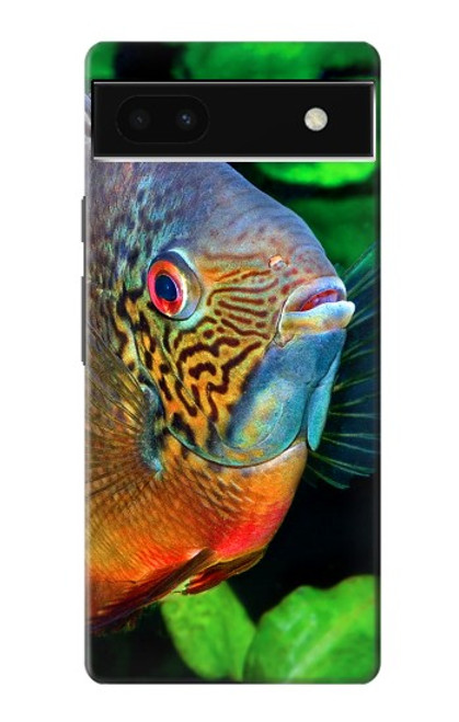 S1812 Cichlid Fish Hülle Schutzhülle Taschen für Google Pixel 6a