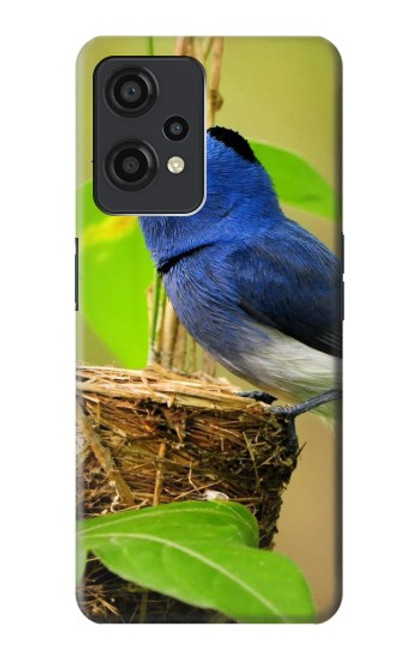 S3839 Bluebird of Happiness Blue Bird Hülle Schutzhülle Taschen für OnePlus Nord CE 2 Lite 5G