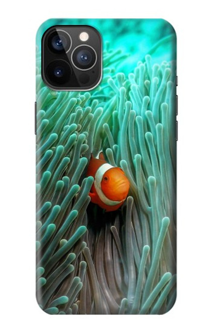 S3893 Ocellaris clownfish Hülle Schutzhülle Taschen für iPhone 12, iPhone 12 Pro
