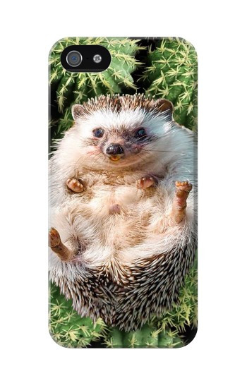 S3863 Pygmy Hedgehog Dwarf Hedgehog Paint Hülle Schutzhülle Taschen für iPhone 5 5S SE