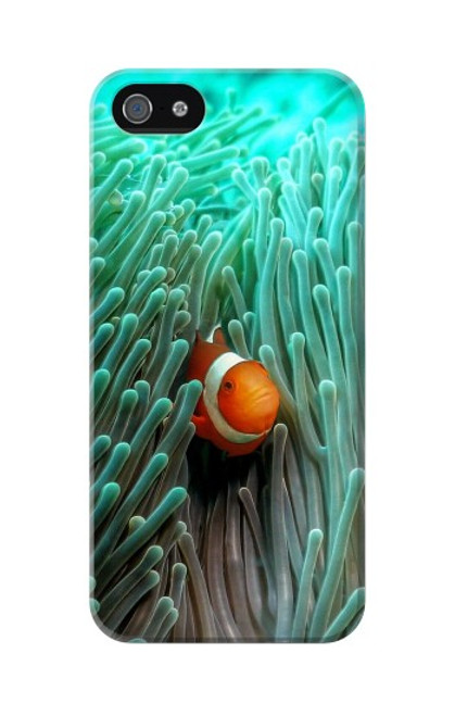 S3893 Ocellaris clownfish Hülle Schutzhülle Taschen für iPhone 5 5S SE