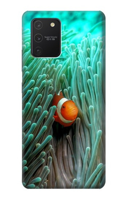 S3893 Ocellaris clownfish Hülle Schutzhülle Taschen für Samsung Galaxy S10 Lite
