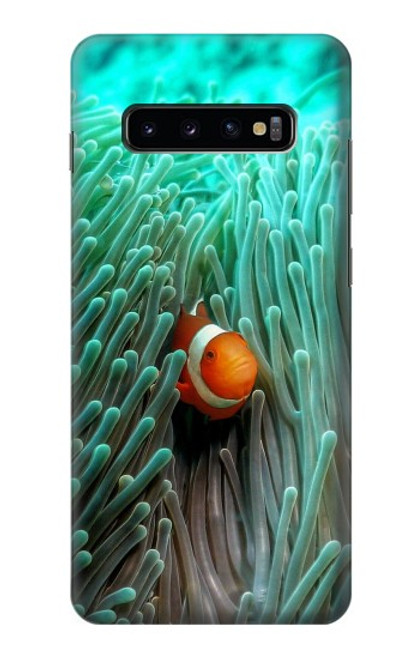 S3893 Ocellaris clownfish Hülle Schutzhülle Taschen für Samsung Galaxy S10 Plus
