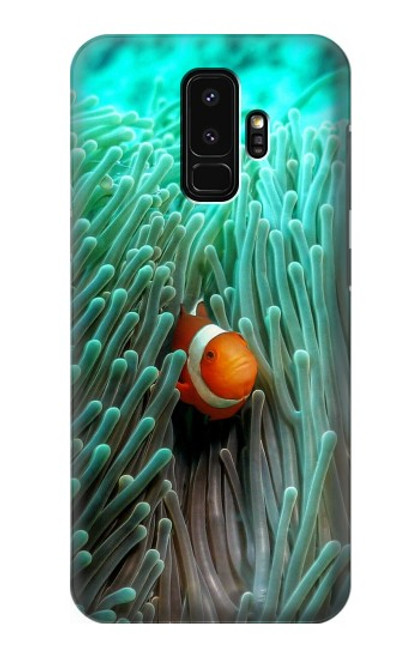 S3893 Ocellaris clownfish Hülle Schutzhülle Taschen für Samsung Galaxy S9 Plus