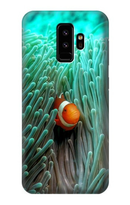 S3893 Ocellaris clownfish Hülle Schutzhülle Taschen für Samsung Galaxy S9
