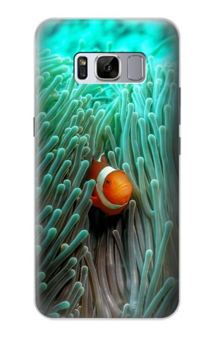 S3893 Ocellaris clownfish Hülle Schutzhülle Taschen für Samsung Galaxy S8 Plus