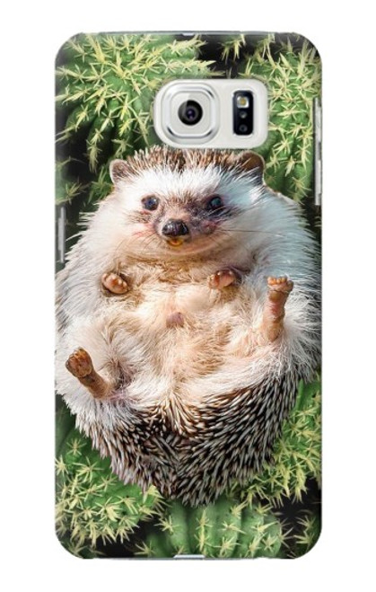 S3863 Pygmy Hedgehog Dwarf Hedgehog Paint Hülle Schutzhülle Taschen für Samsung Galaxy S7 Edge