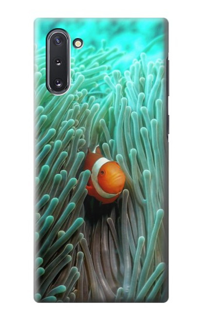 S3893 Ocellaris clownfish Hülle Schutzhülle Taschen für Samsung Galaxy Note 10