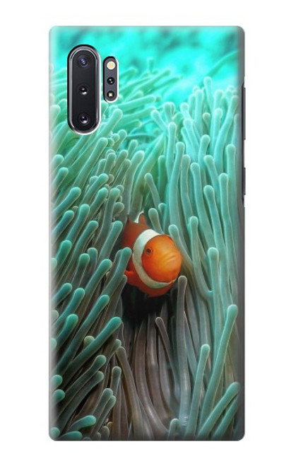 S3893 Ocellaris clownfish Hülle Schutzhülle Taschen für Samsung Galaxy Note 10 Plus