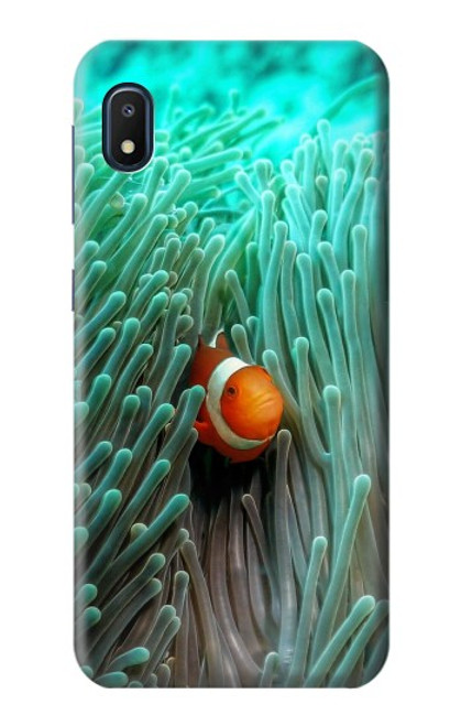 S3893 Ocellaris clownfish Hülle Schutzhülle Taschen für Samsung Galaxy A10e