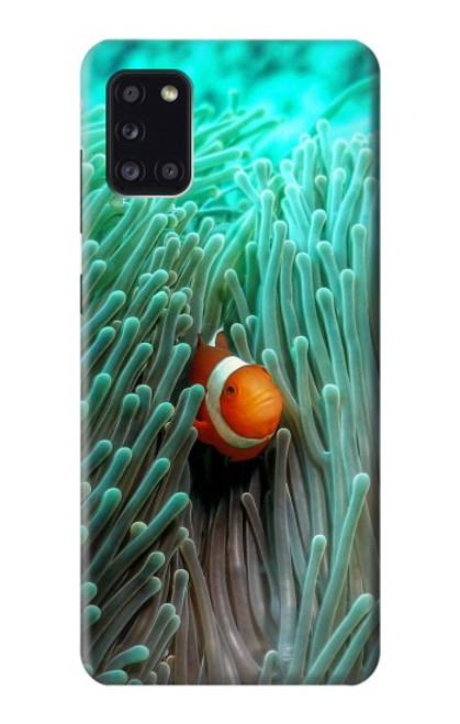S3893 Ocellaris clownfish Hülle Schutzhülle Taschen für Samsung Galaxy A31