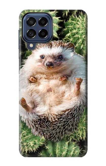 S3863 Pygmy Hedgehog Dwarf Hedgehog Paint Hülle Schutzhülle Taschen für Samsung Galaxy M53