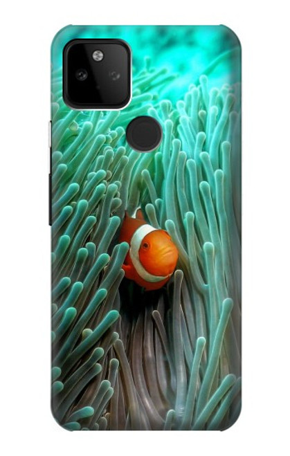 S3893 Ocellaris clownfish Hülle Schutzhülle Taschen für Google Pixel 5A 5G