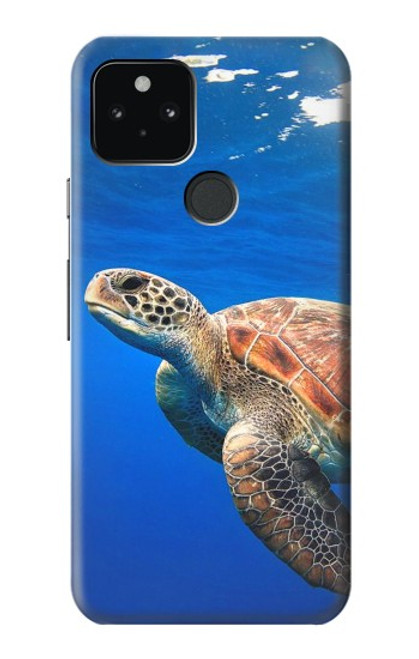 S3898 Sea Turtle Hülle Schutzhülle Taschen für Google Pixel 5