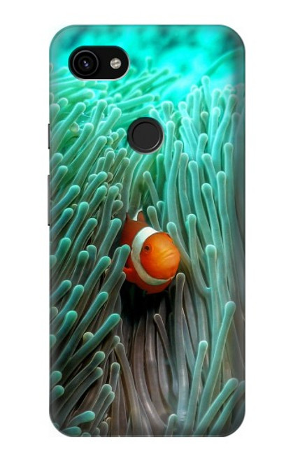 S3893 Ocellaris clownfish Hülle Schutzhülle Taschen für Google Pixel 3a XL