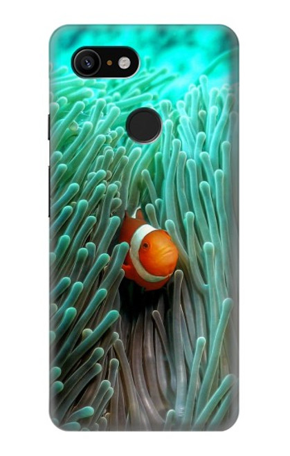 S3893 Ocellaris clownfish Hülle Schutzhülle Taschen für Google Pixel 3