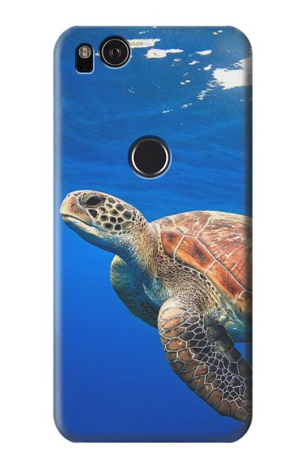 S3898 Sea Turtle Hülle Schutzhülle Taschen für Google Pixel 2