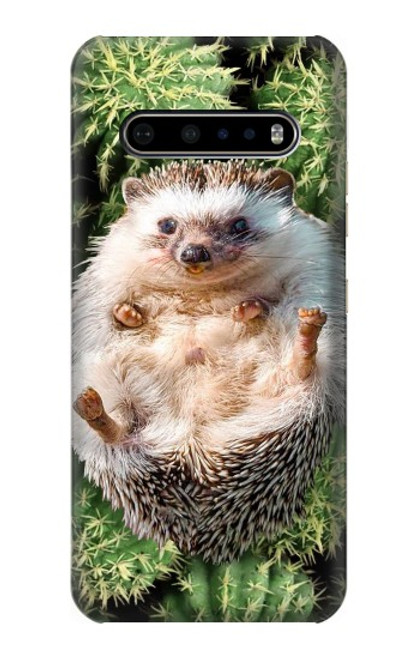 S3863 Pygmy Hedgehog Dwarf Hedgehog Paint Hülle Schutzhülle Taschen für LG V60 ThinQ 5G