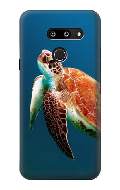 S3899 Sea Turtle Hülle Schutzhülle Taschen für LG G8 ThinQ